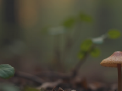 企业文化建设与团队管理之道